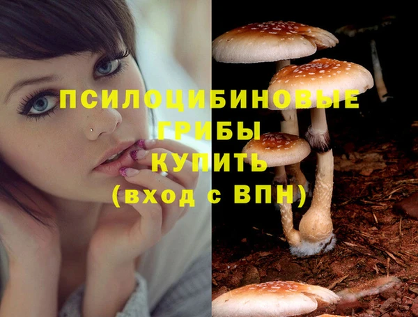 MDMA Premium VHQ Гусиноозёрск