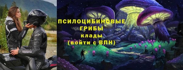 круглые Гусь-Хрустальный
