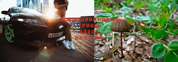 MDMA Premium VHQ Гусиноозёрск