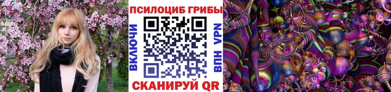 KRAKEN зеркало купить наркоту Пласт Галлюциногенные грибы Magic Shrooms